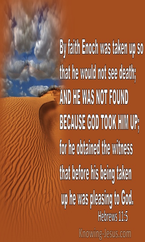 Hebrews 11:5 By Faith Enoch Was Taken Up So He Would Not See Death (orange)